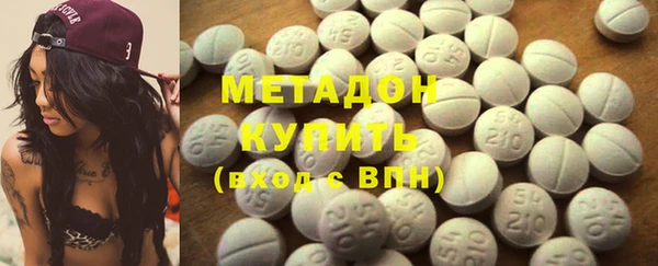 индика Аркадак