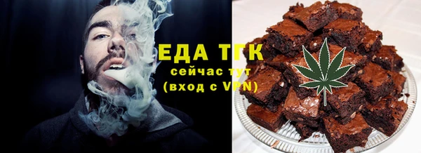 индика Аркадак