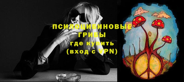 индика Аркадак