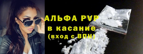 индика Аркадак