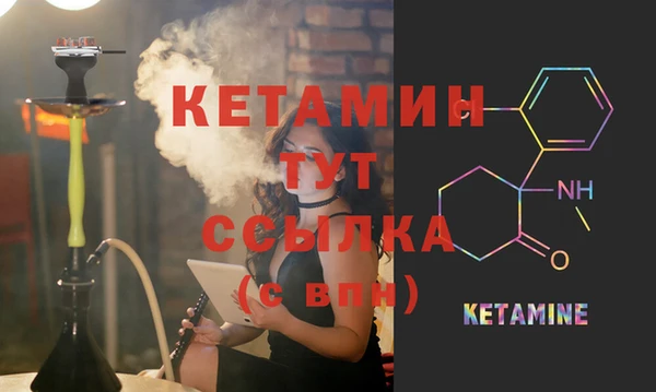 индика Аркадак