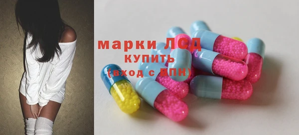 индика Аркадак