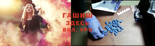 индика Аркадак
