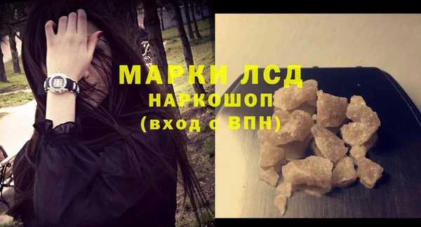 индика Аркадак