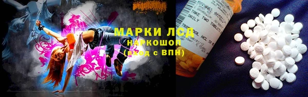 индика Аркадак