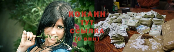индика Аркадак