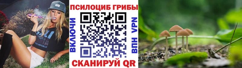 это состав  Полевской  Галлюциногенные грибы мицелий  продажа наркотиков 